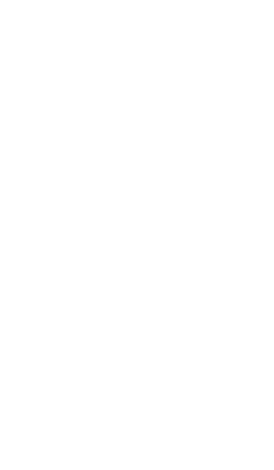 elit Vodka